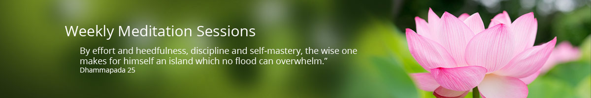 Pink lotus with meditation session text.